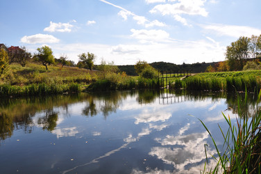 Similar image 1663947