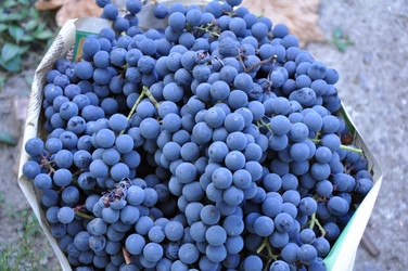 Similar image 1663950