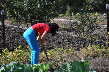 Similar image 1663952