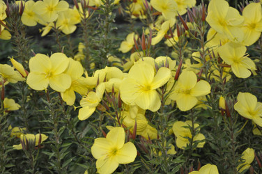 Similar image 1663955