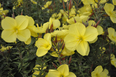 Similar image 1663960