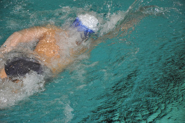 Similar image 1664023