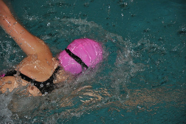 Similar image 1664034