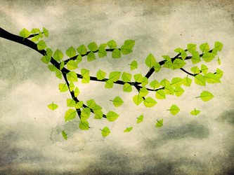 Similar image 1664068