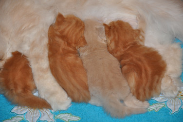 Similar image 1664083