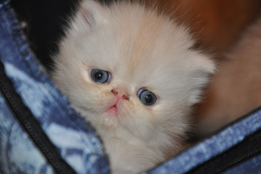 Similar image 1664085