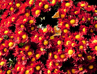 Similar image 1664087