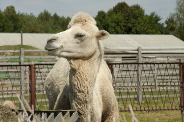 Similar image 1664149