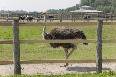 Similar image 1664150