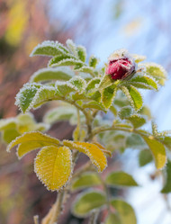 Similar image 1664167