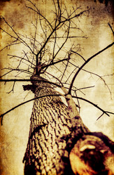 Similar image 1664202