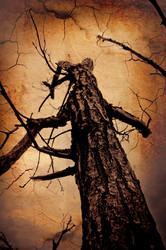 Similar image 1664205