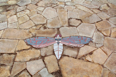 Similar image 1664214