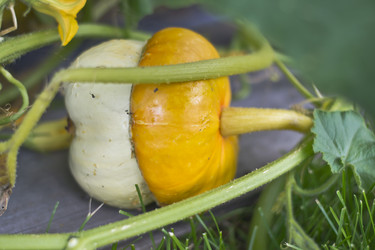 Similar image 1664224