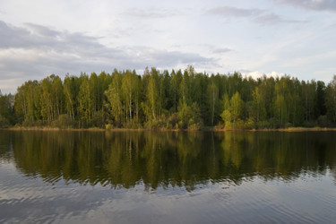 Similar image 1664226