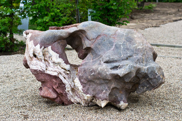 Similar image 1664245