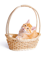 Similar image 1664269