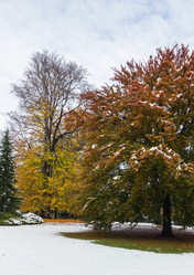 Similar image 1664301