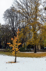 Similar image 1664303