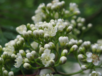 Similar image 1664316