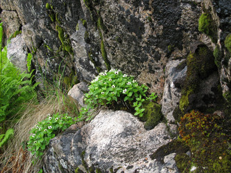 Similar image 1664317