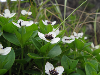 Similar image 1664318