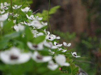 Similar image 1664319