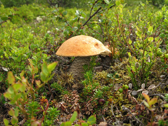 Similar image 1664323