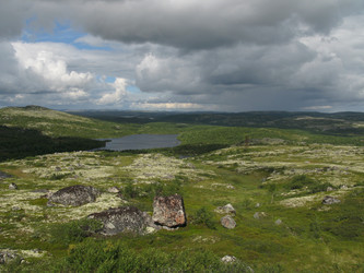 Similar image 1664325