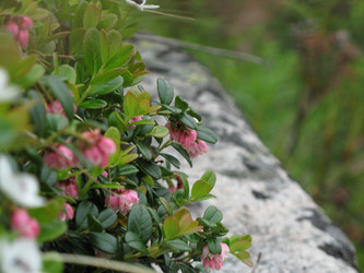 Similar image 1664327