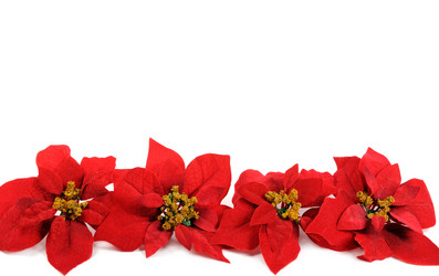 Similar image 1664351