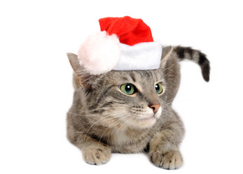 Similar image 1664355