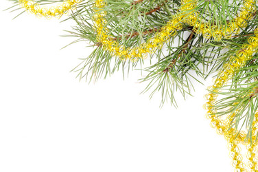 Similar image 1664364