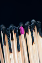 Similar image 1664402