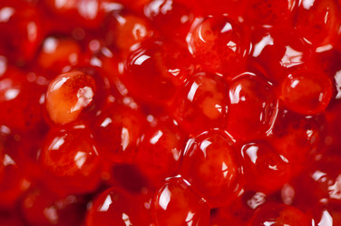 Similar image 1664410