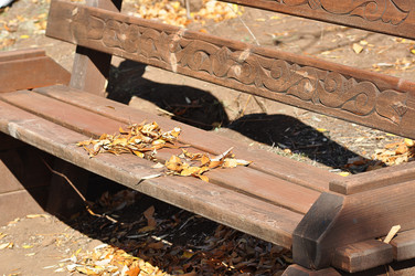 Similar image 1664456