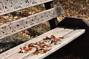 Similar image 1664457