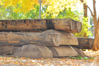 Similar image 1664459