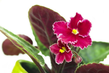 Similar image 1664635