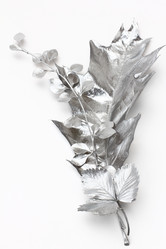 Similar image 1664640