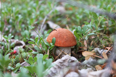 Similar image 1664643