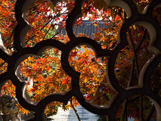 Similar image 1664646