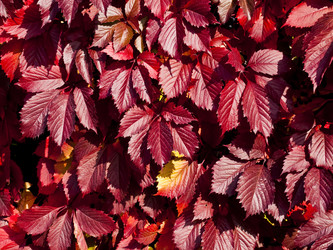 Similar image 1664648