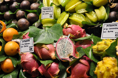 Similar image 1664675