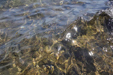 Similar image 1664697