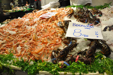 Similar image 1664705