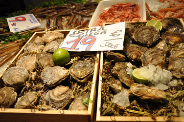 Similar image 1664706