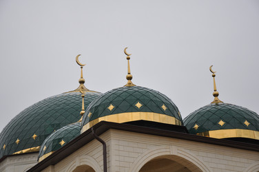 Similar image 1664710