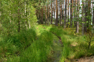 Similar image 1664820