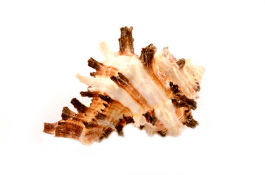 Similar image 1664822